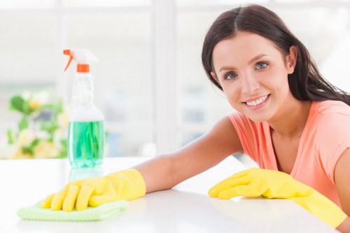 Professional carpets cleaner in Twickenham providing deep carpet cleaning