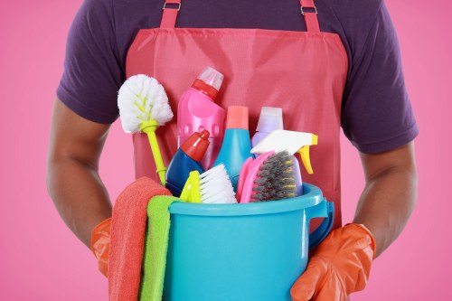 Professional carpet cleaning equipment and cleaning service for local residential interiors