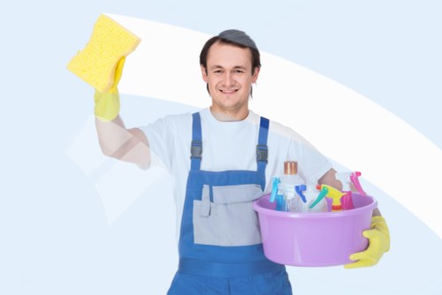 Professional cleaner in Twickenham providing domestic cleaning support