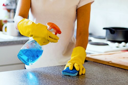 Detailed view of carpet cleaning process for upholstery and fabric surfaces in Twickenham