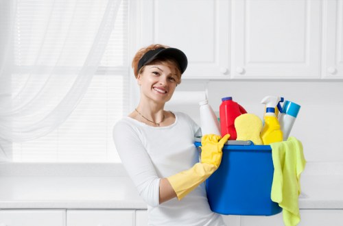 Deep cleaning equipment used for carpet cleaning in Twickenham