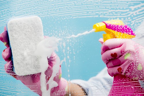 Bathroom sanitation as part of tenancy cleaning in Twickenham