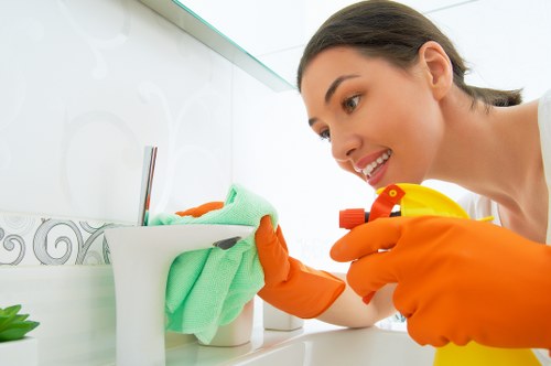 Final safety review for a professional carpet cleaning service