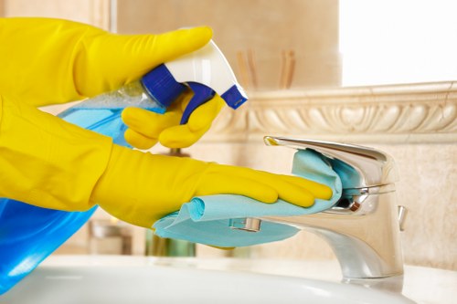 Cleaning products and equipment arranged safely for carpet cleaning