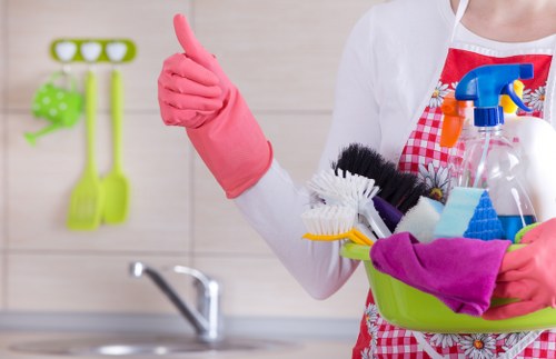 Professional carpet cleaning process with protective care for flooring