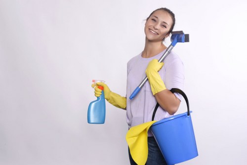 Deep rug cleaning in Twickenham removing dirt and stains from fibres