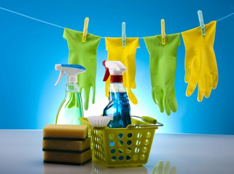 Internal review focused on improving carpet cleaning standards